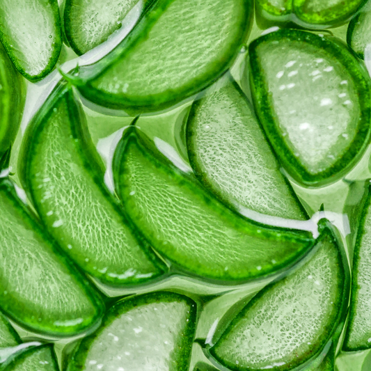 How Aloe Vera Benefits Your Hair
